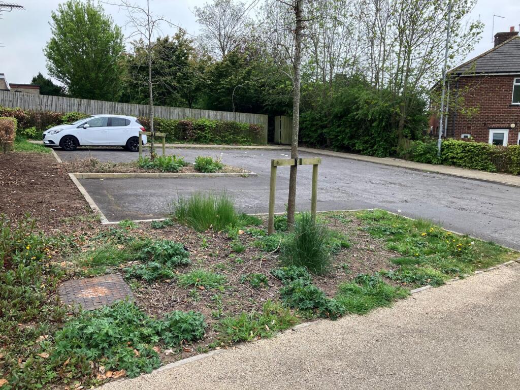 car parking 