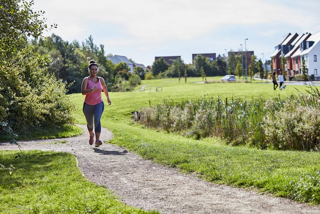Areas of green open space on the development