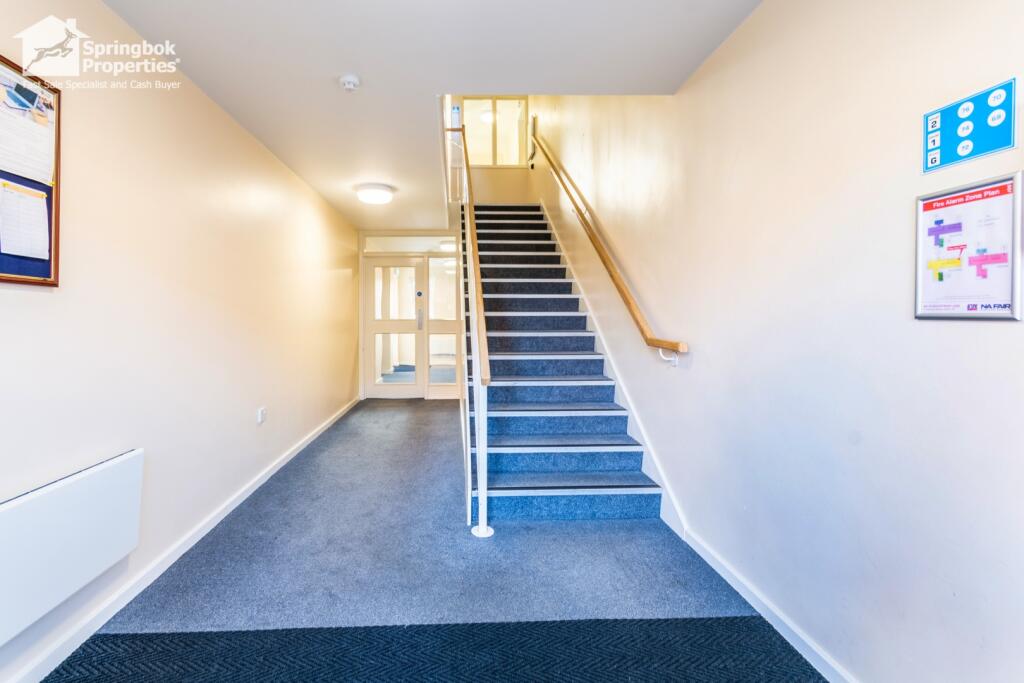 IMAGE 9 