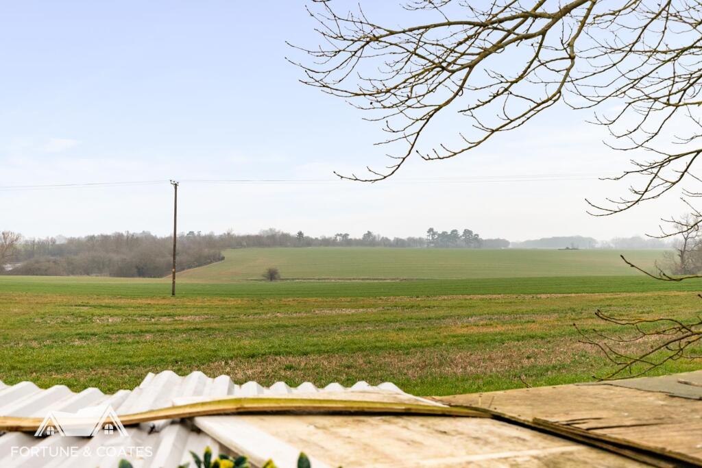 PrimleyLane_33.jpg