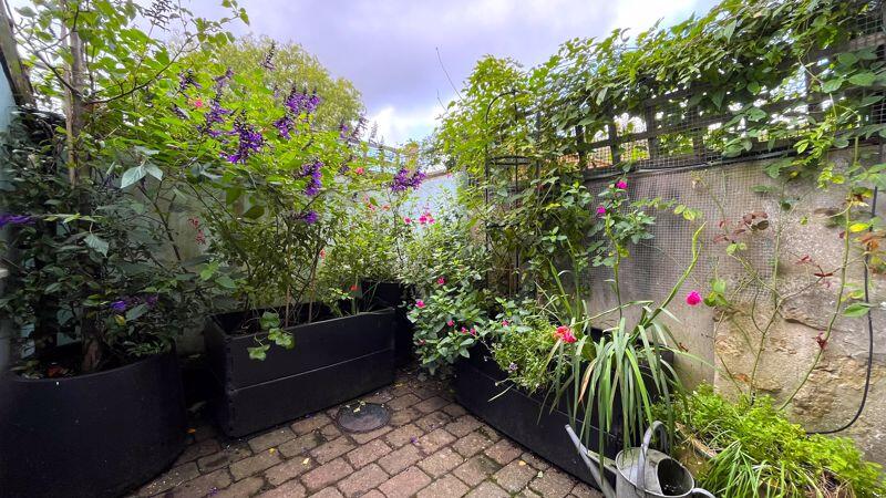 Rear Courtyard