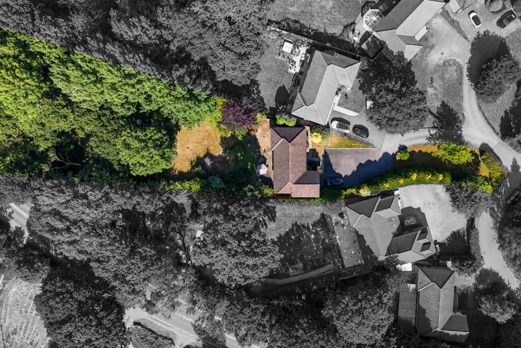 Silver Birches Drone - Plot.jpg