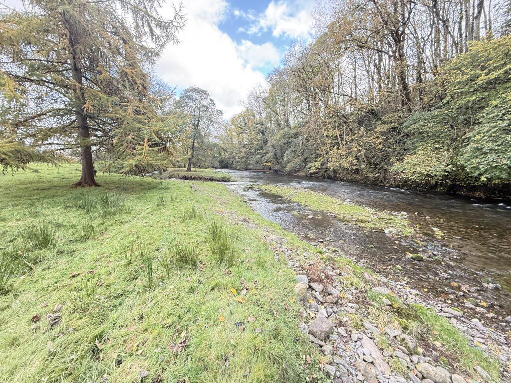 IMG 1738 T202510301636.jpg