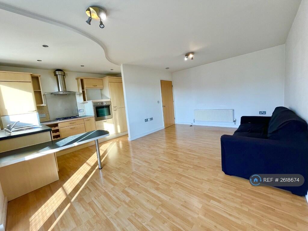 Kitchen / Living Area