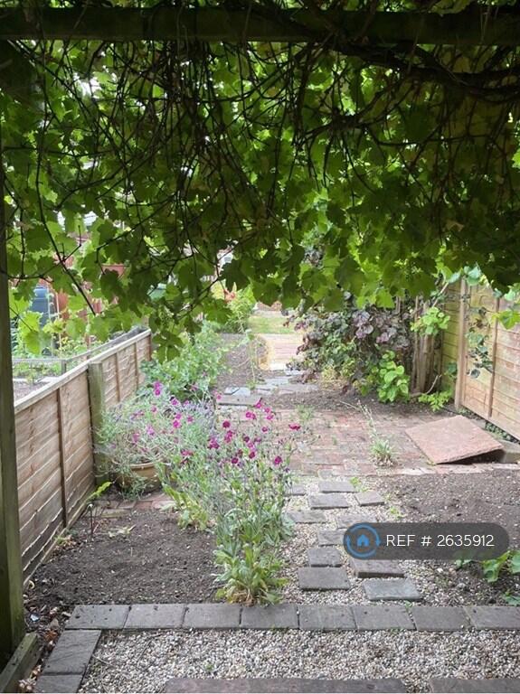 Under The Pergola