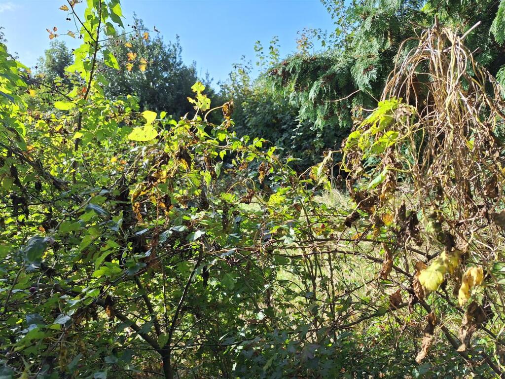 WhatsApp Image 2024-11-02 at 12.20.09.jpeg