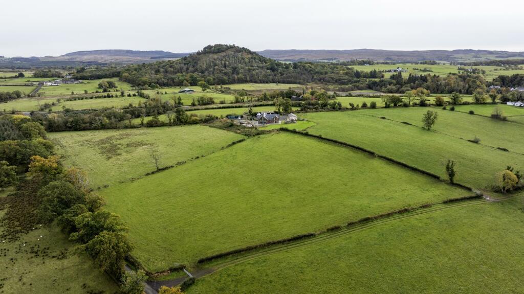 DJI_20241013132801_0199_D.jpg