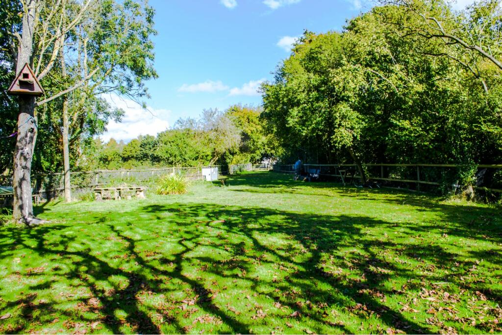 Field