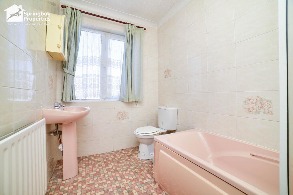 IMAGE 11