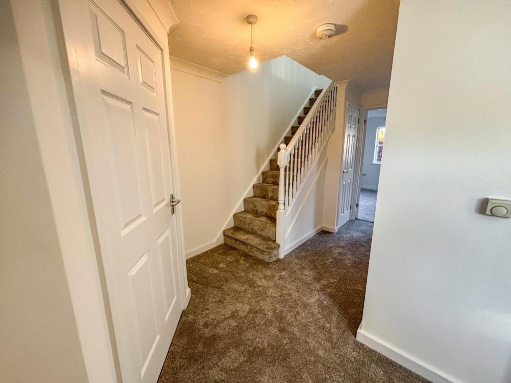 tlc_235e1f5c-c0fe-4b67-935d-b3ce7e660cc5_ed739ca.j