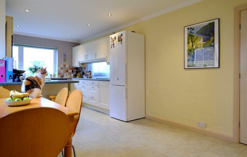 Large kitchen, larder and utility room