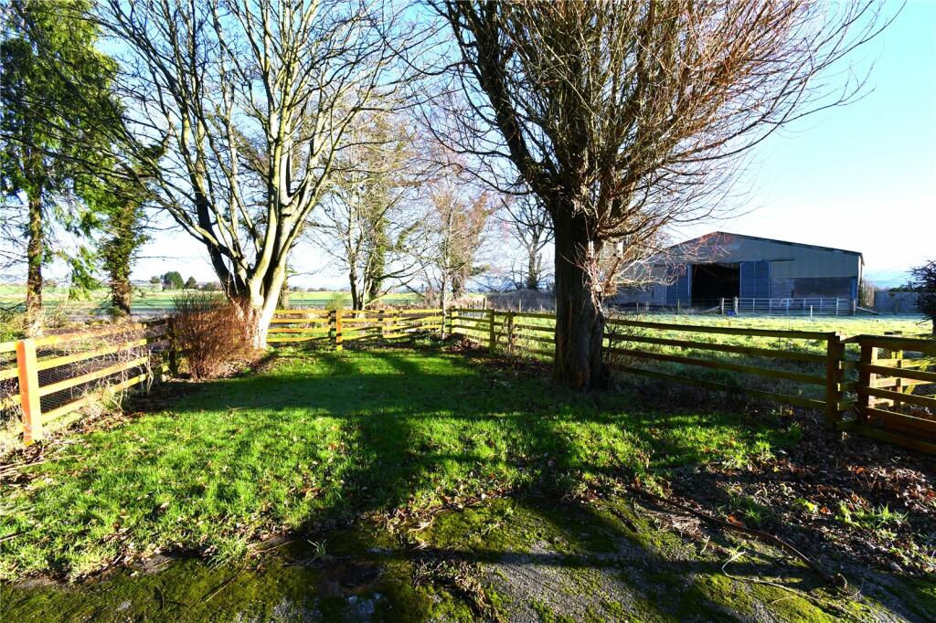 Side Garden