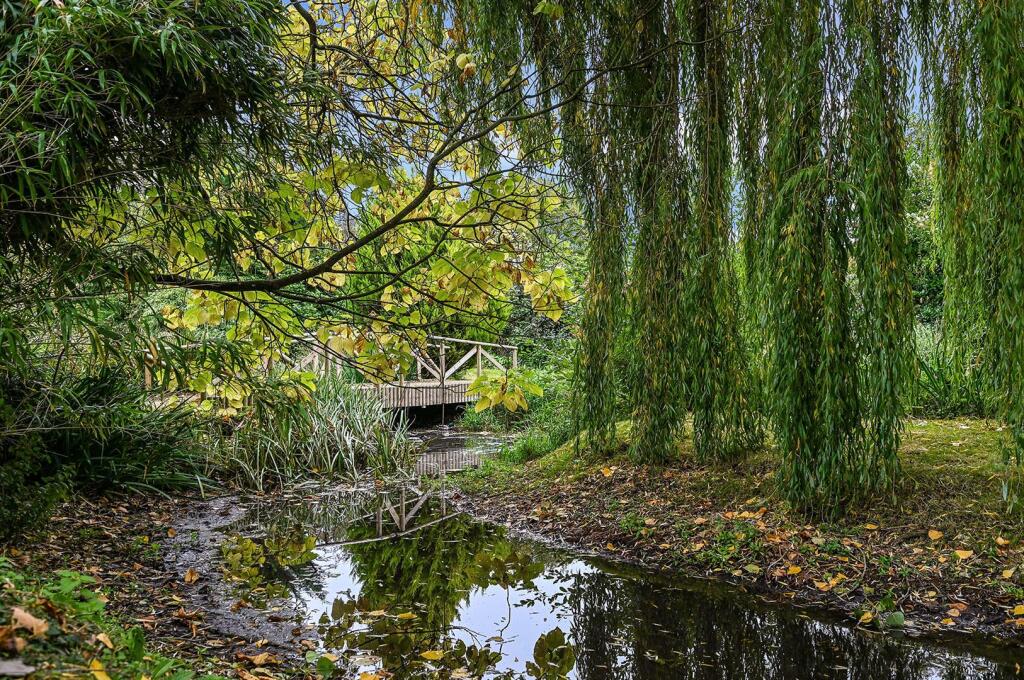 Ph24_6258935 - Copy.jpg