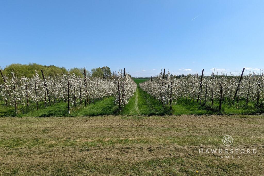 Deerton Street, Teynham - View to rear