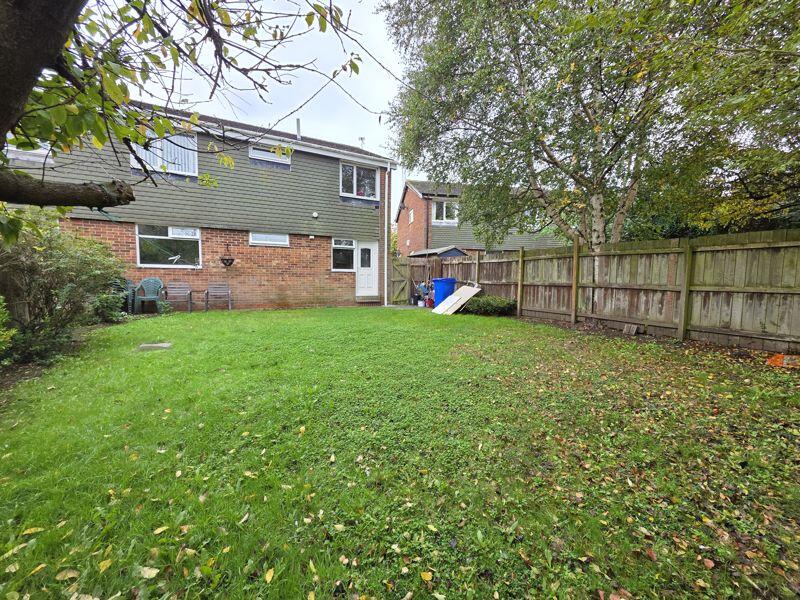 Rear External