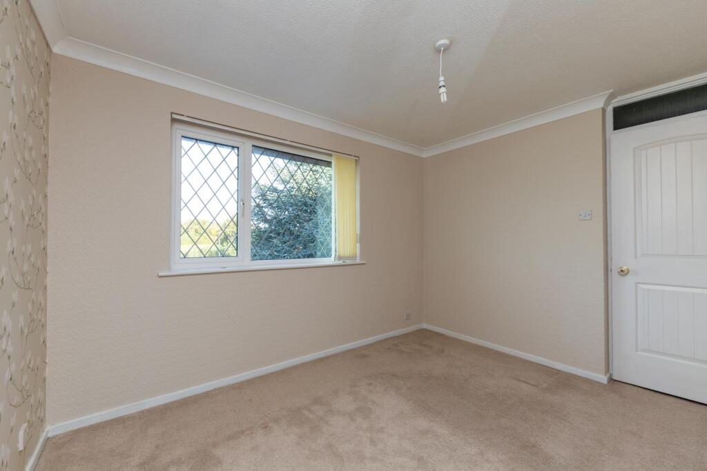 30 Sanderling (1 of 15).jpg