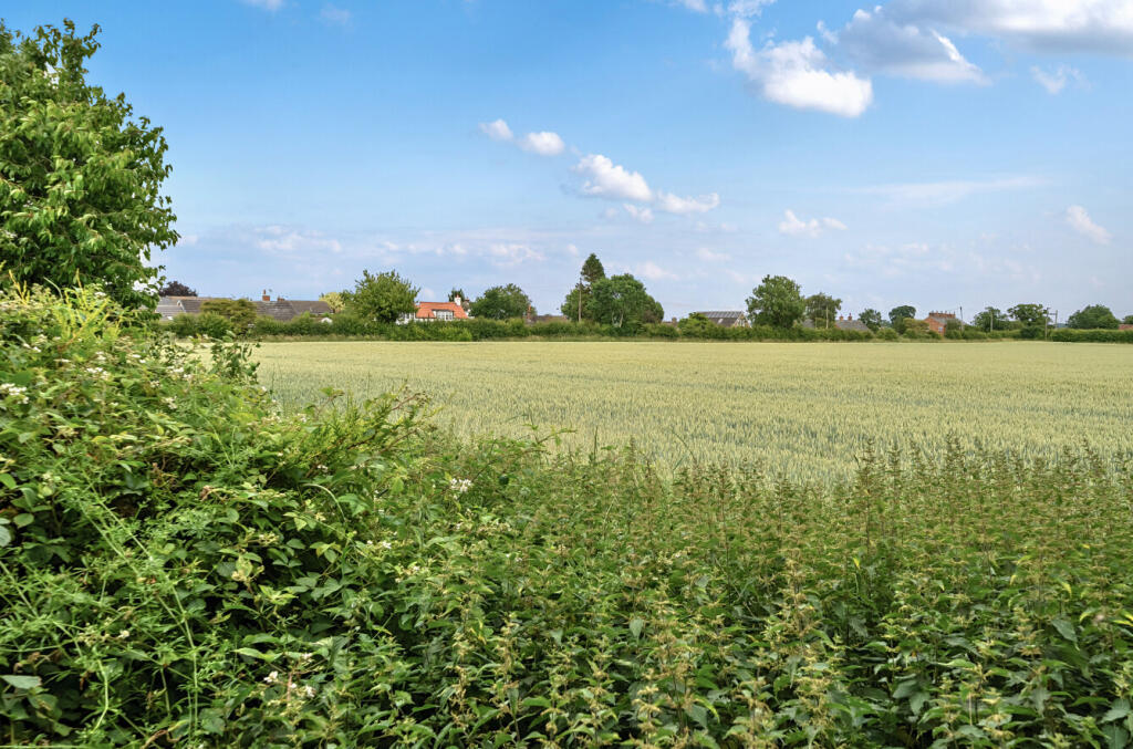 1313572-14-685596...