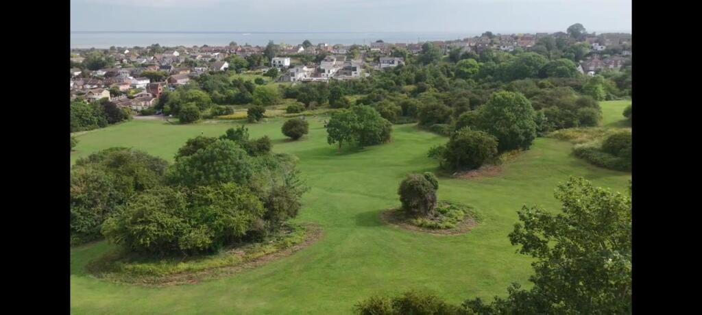 PHOTO-2025-06-16-08-51-58 (2).jpg