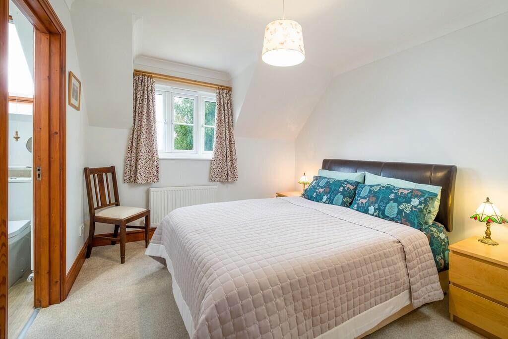 1440px-Hedgehogs-...