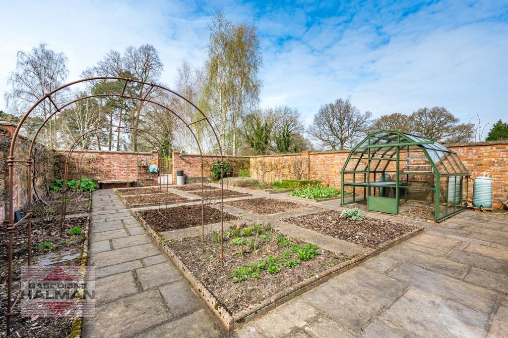 Vegetable Garden 