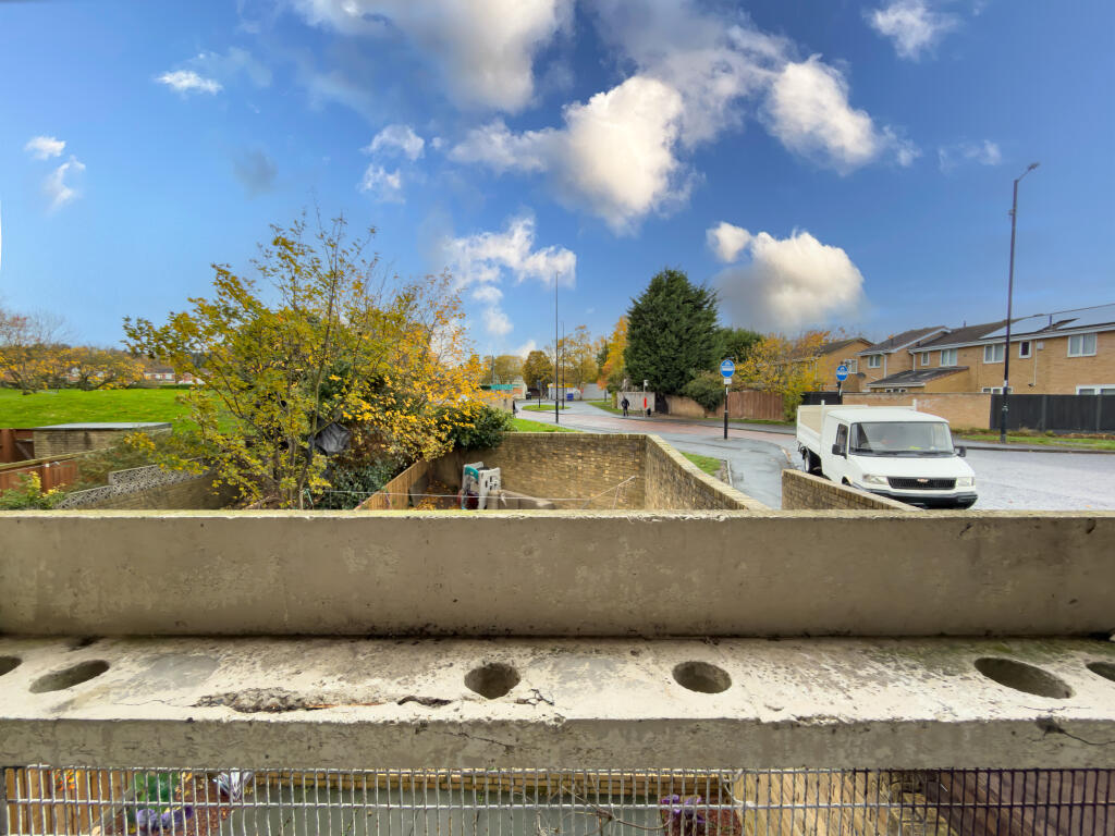 IMG 7146 T202511051328.jpg