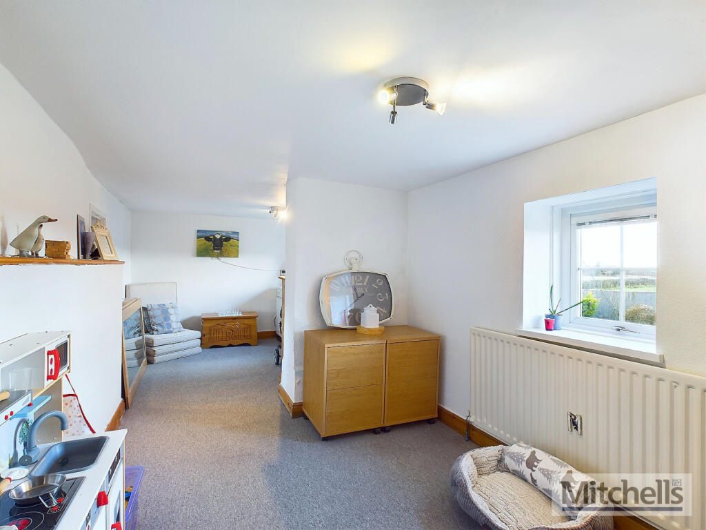 Playroom/Office