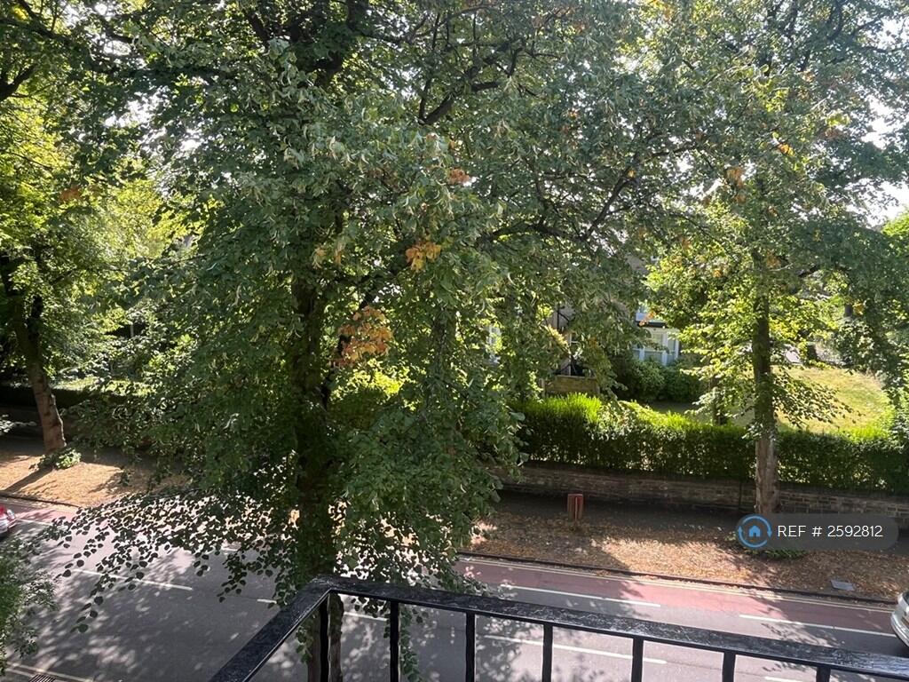 Bedroom View