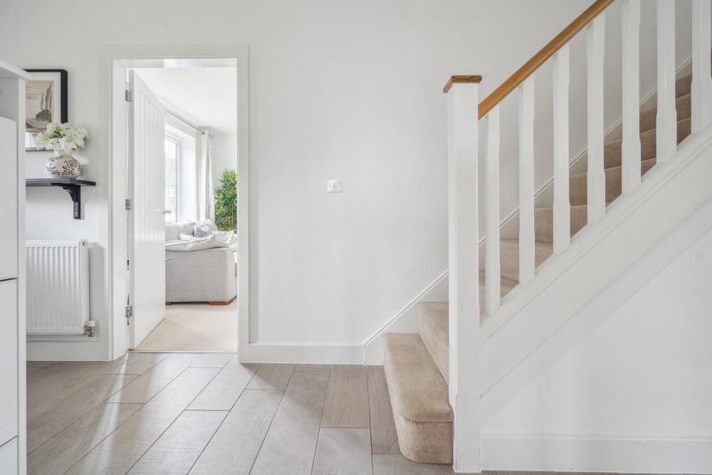 DSC01814 - 800px.jpg