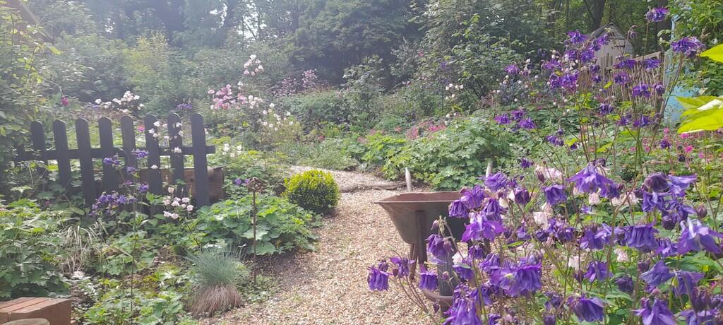garden in bloom