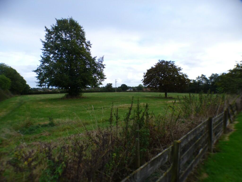 Grazing Land View
