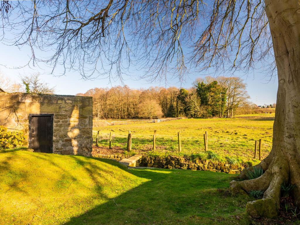 View to beck and fields beyond