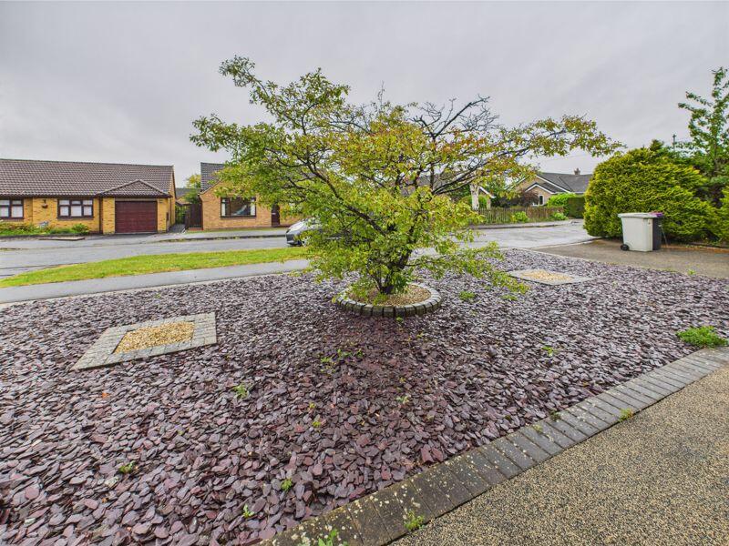 Front garden