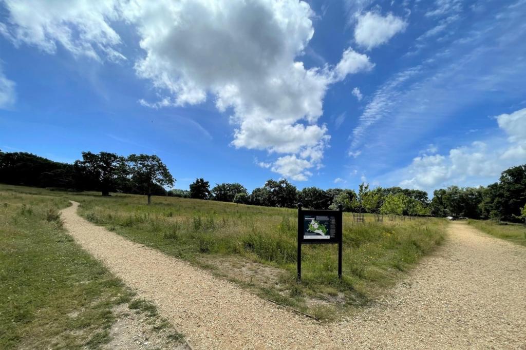 Holmwood Park 
