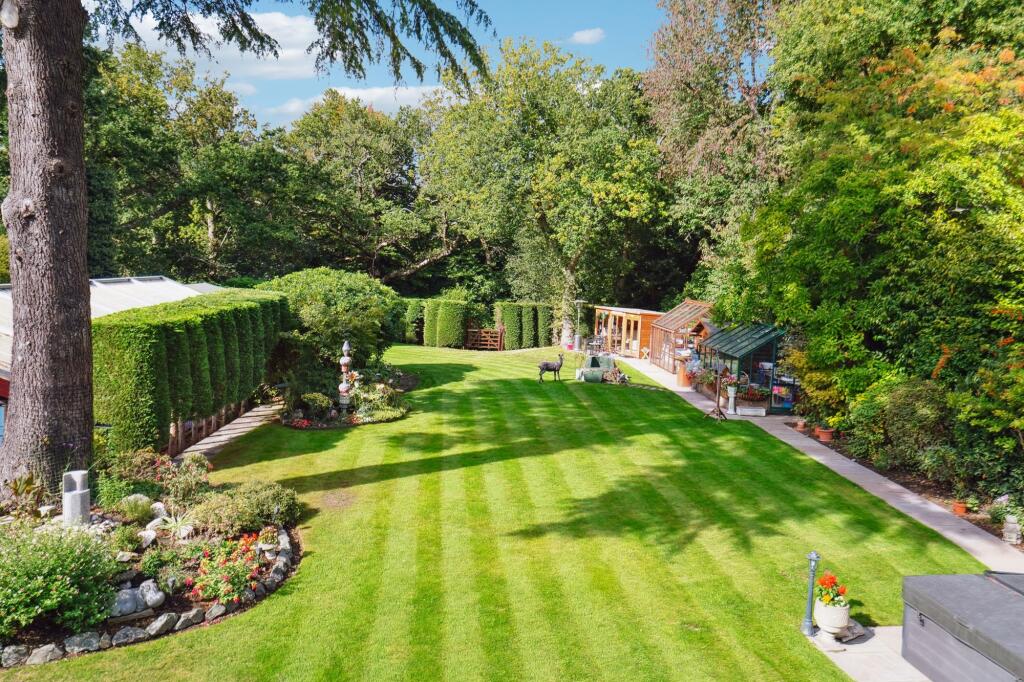 Garden (3)