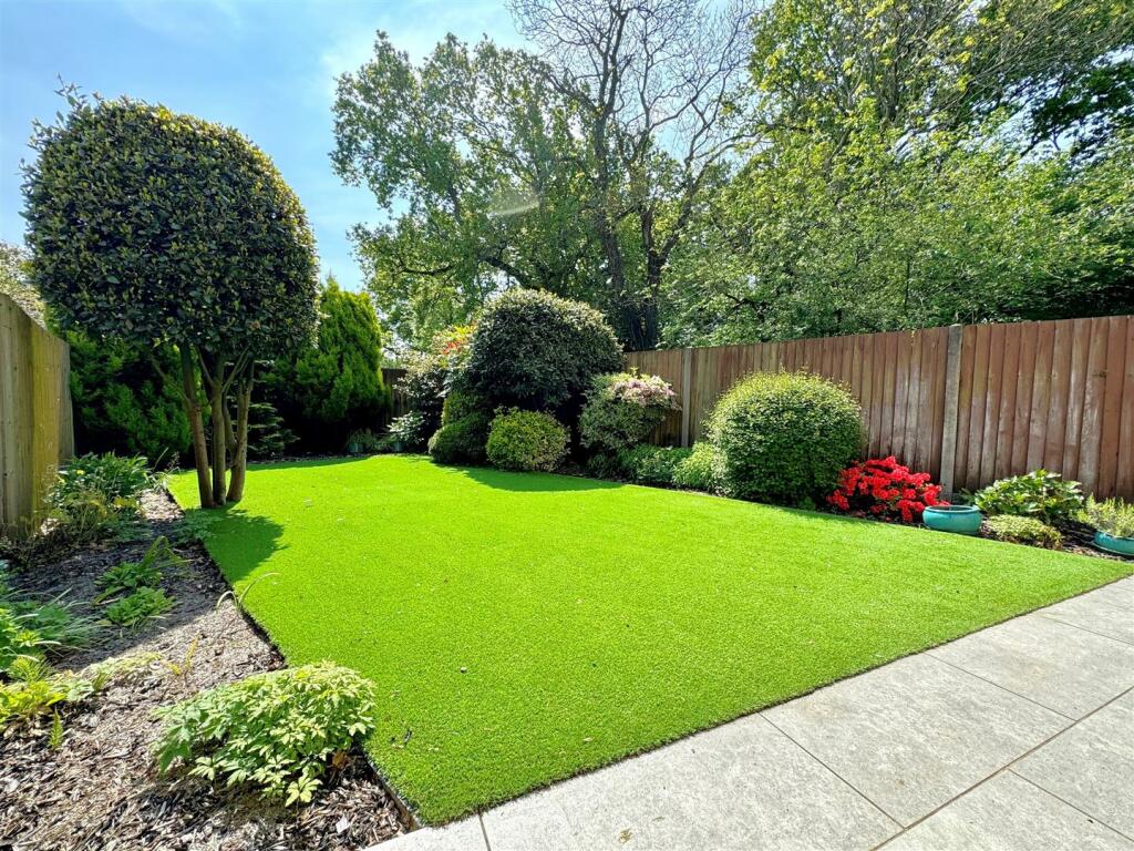 garden 2.jpg