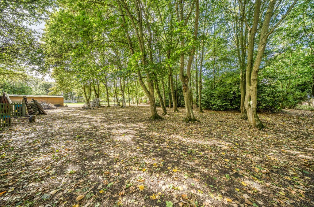 1353131-2-68c8345...