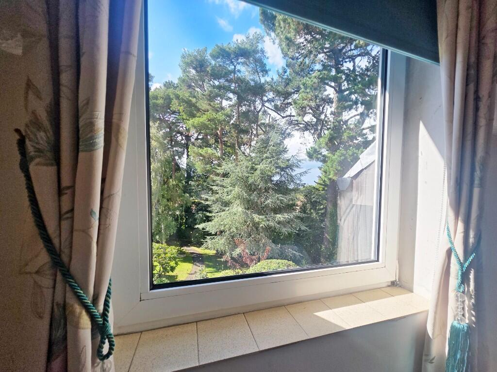 Bedroom Window
