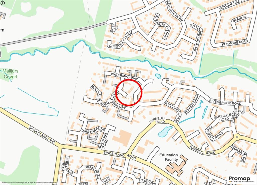 Street Plan.jpg