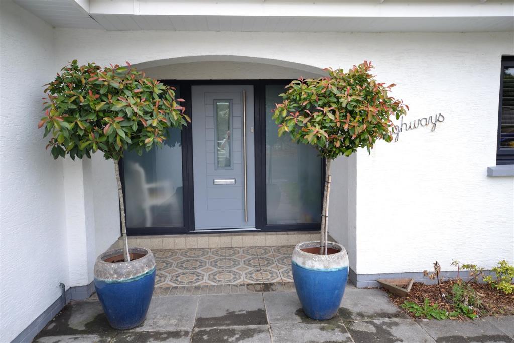 DSC_0026 (1).JPG
