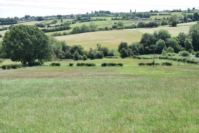 293 Halifax Road - Field.jpg