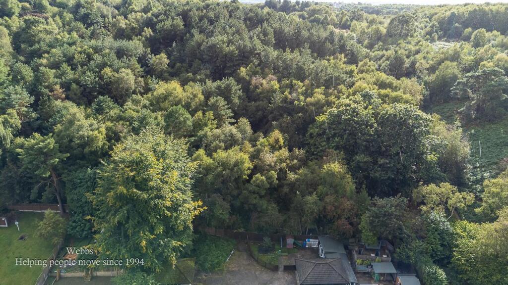 DJI_0341.JPG