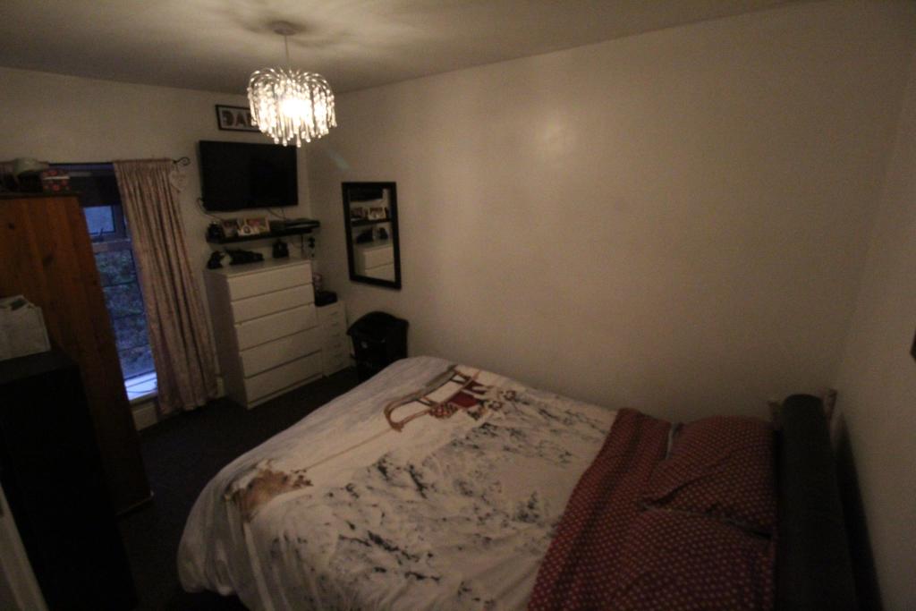 16Standardbed1