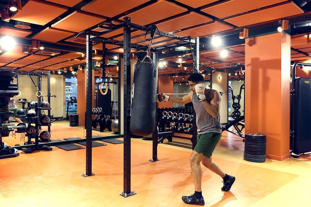 Modern Gym