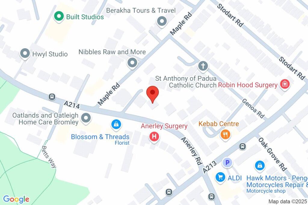 Google Maps Image