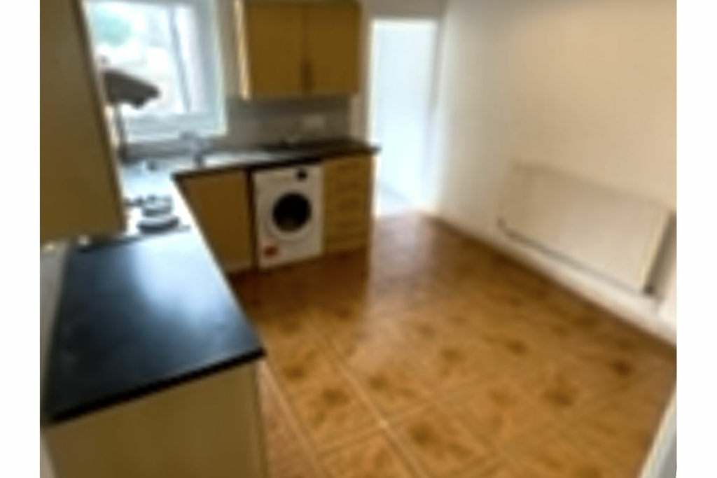 Living / Dining Room