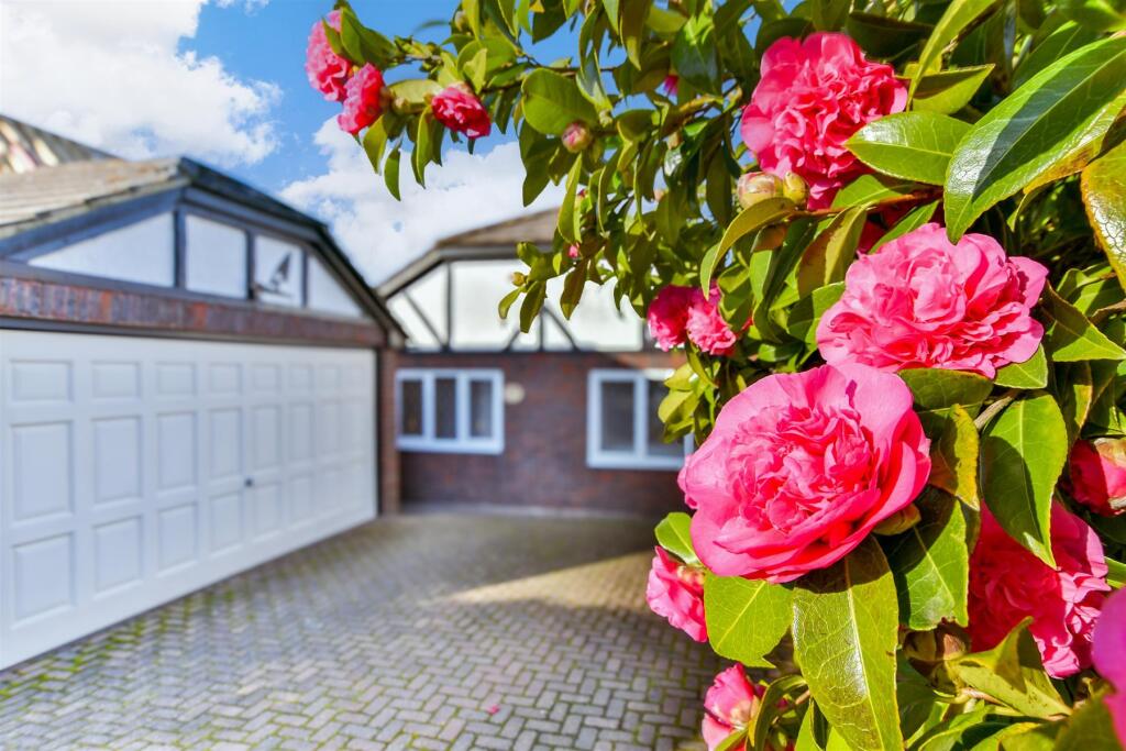 External Lifestyle Photograph