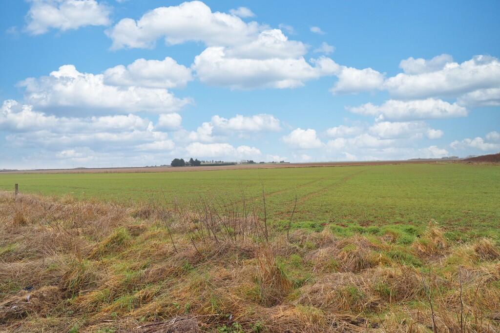 IMG_7152 (1)