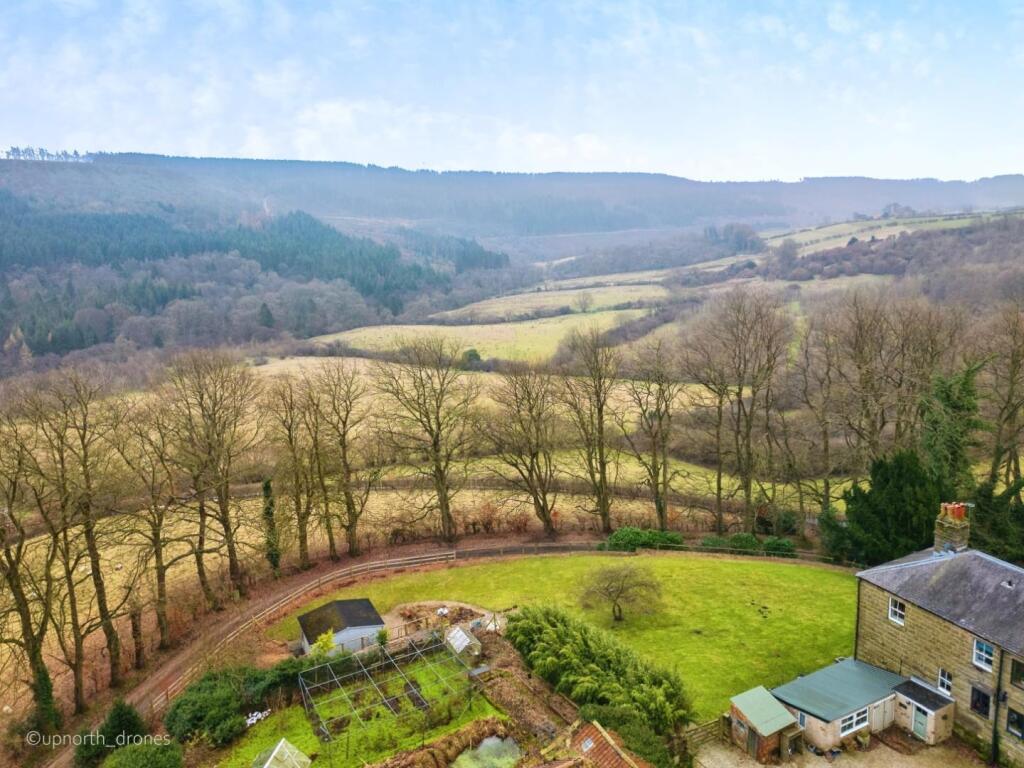 03c455d8-DJI_0812.jpg