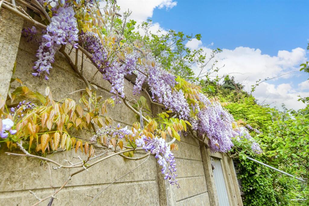 External Lifestyle Photograph