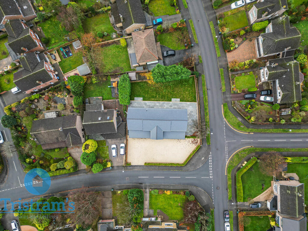 DJI_0445